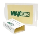 Pièges collants Max-Catch 72MAX peanut (boite 72)